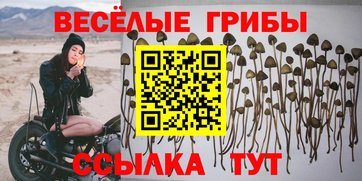 Галлюциногенные грибы ЛСД Курган