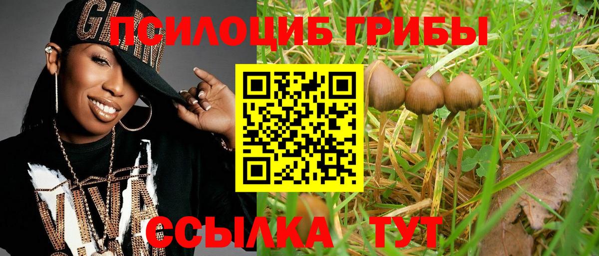 Курган  Псилоцибиновые грибы мицелий  Вход с VPN 