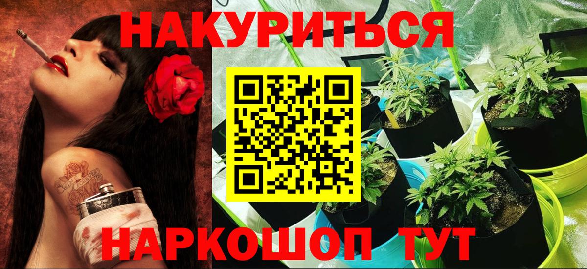 Каннабис MAZAR  Вход с VPN  Курган  Марихуана гибрид  Шишки марихуана семена 